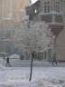 Krakau_netz_22.jpg - 