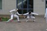 Klinikfest_170711_39.JPG - 