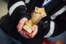 degentreffen2017-223.jpg - 