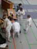 erkrath201300018.jpg - 