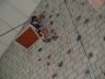 hachen200920.jpg - 