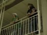 hachen200936.jpg - 