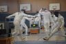 pulheim2017-43.jpg - 