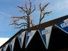 weihnachtsmarkt2014-02.jpg - 